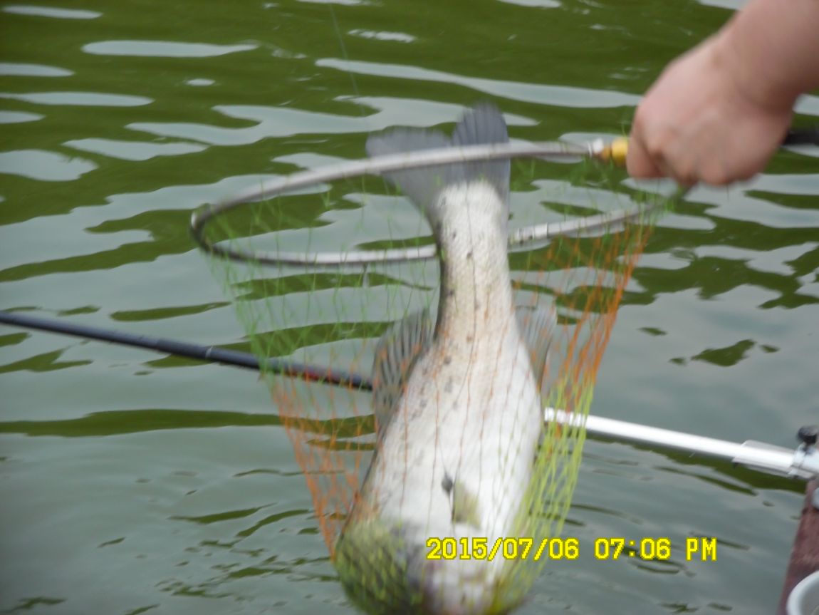 7��6��~7�� 007.JPG