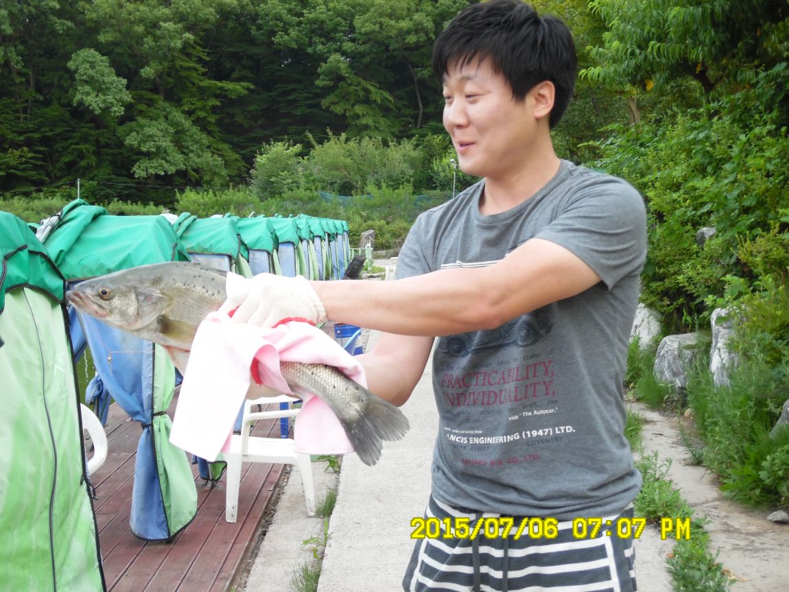 7��6��~7�� 008.JPG