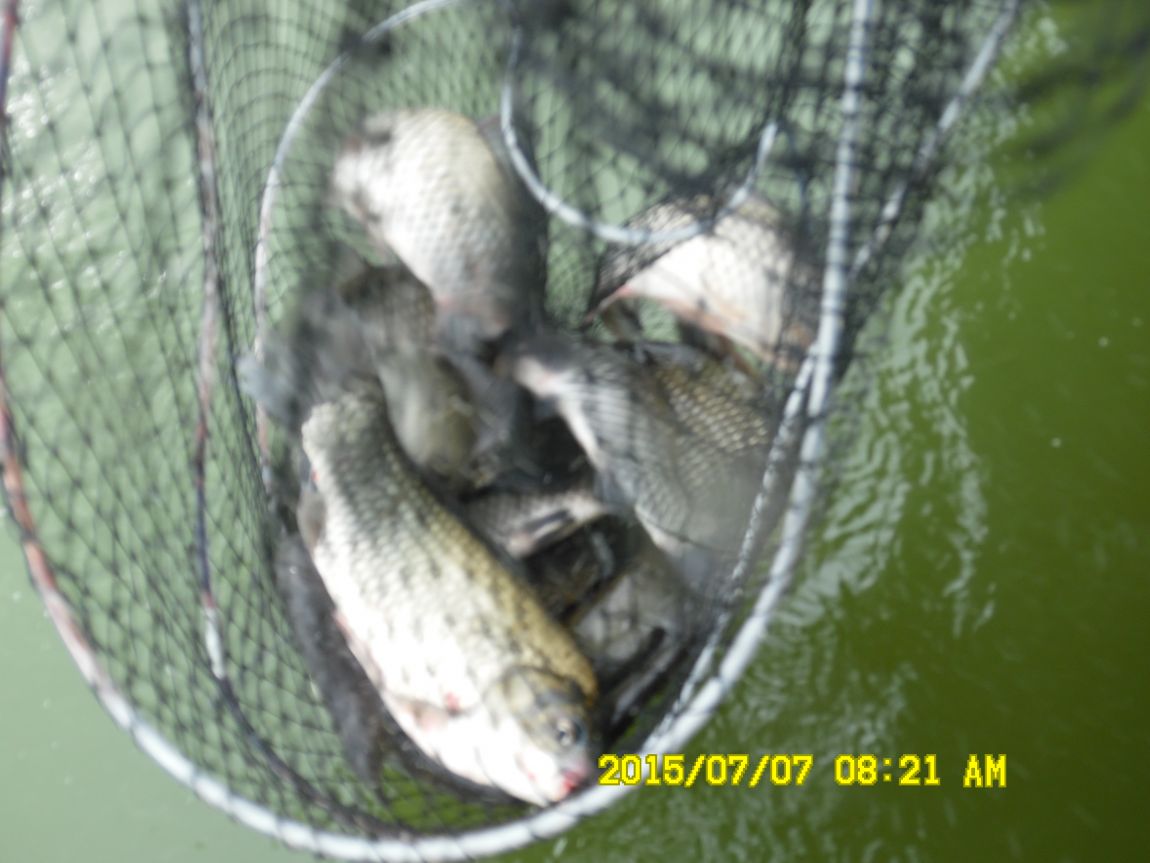 7��6��~7�� 009.JPG