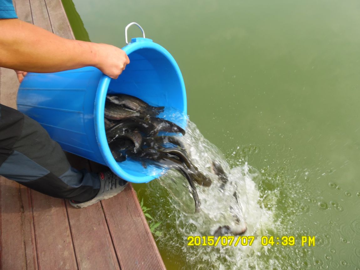 7��6��~7�� 010.JPG