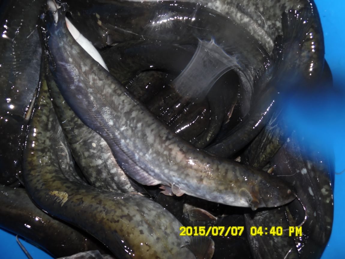 7��6��~7�� 011.JPG