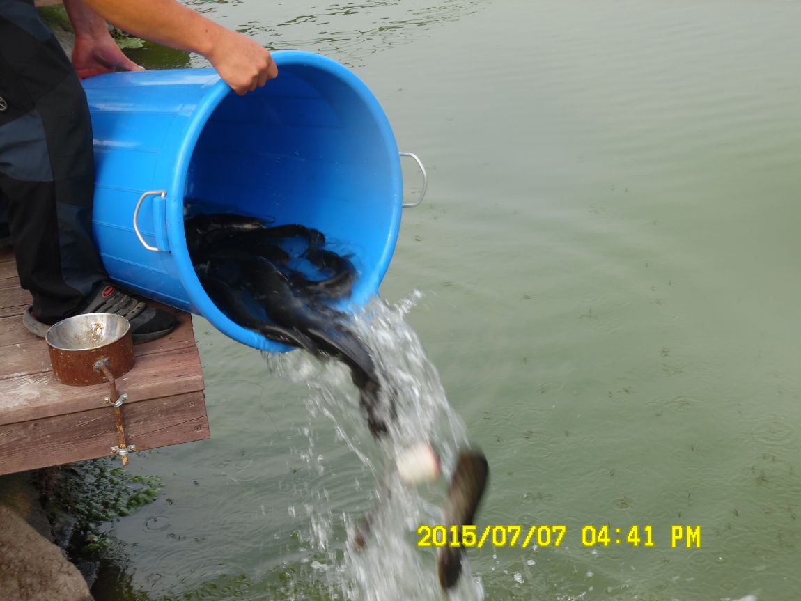 7��6��~7�� 012.JPG