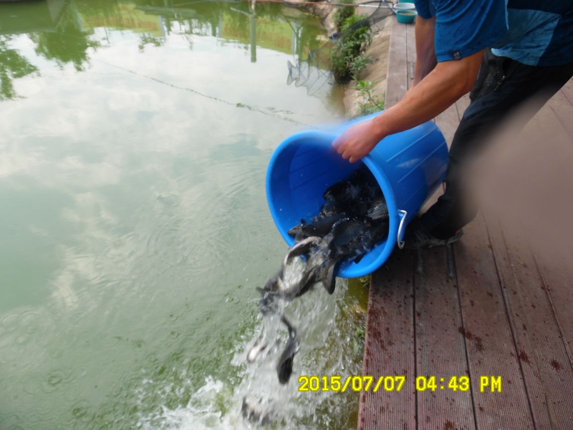 7��6��~7�� 013.JPG