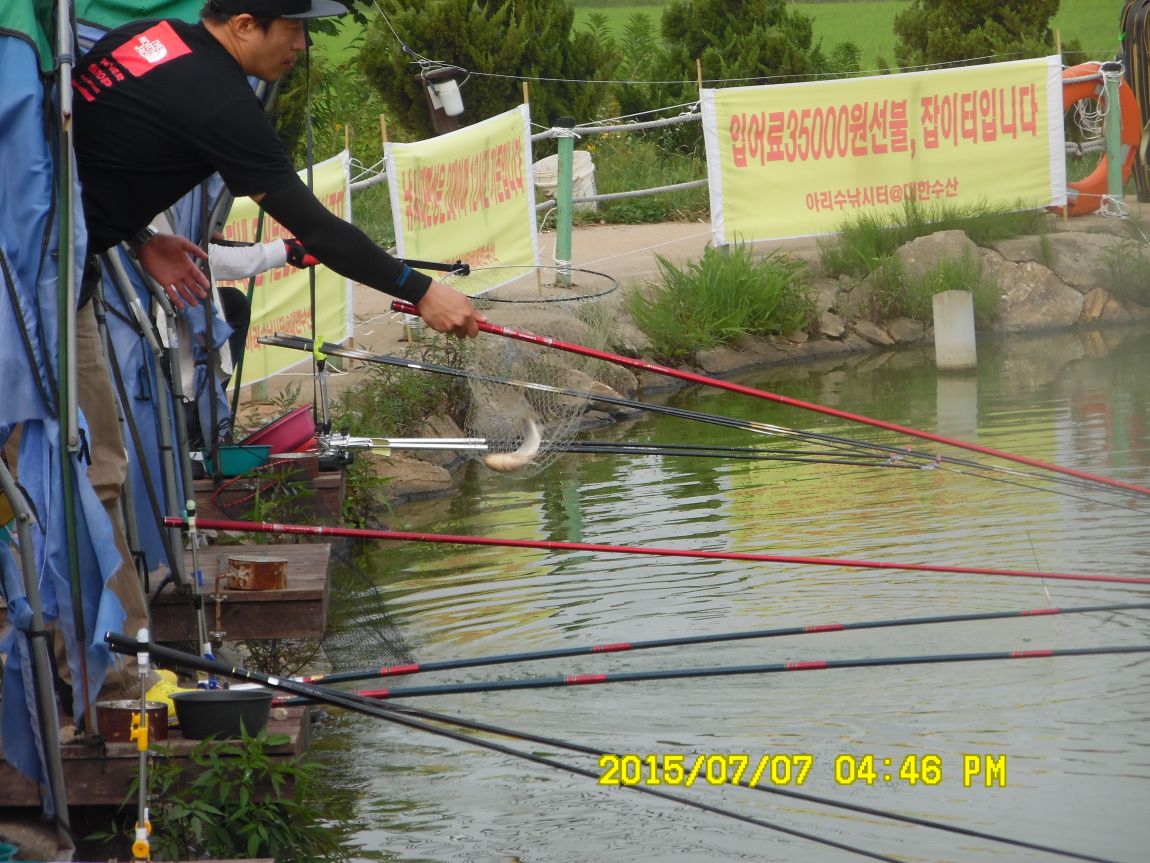 7��6��~7�� 015.JPG