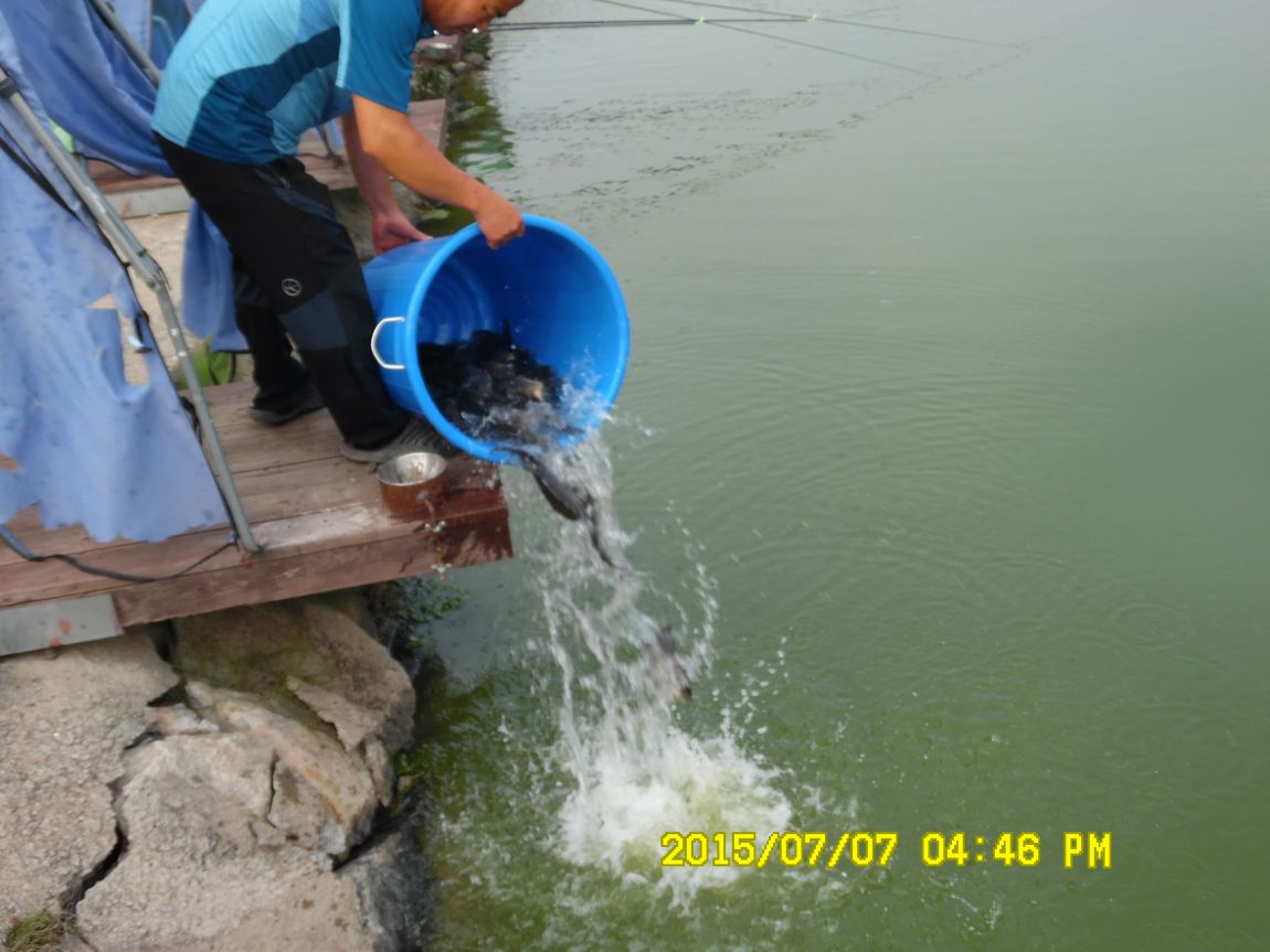 7��6��~7�� 016.JPG