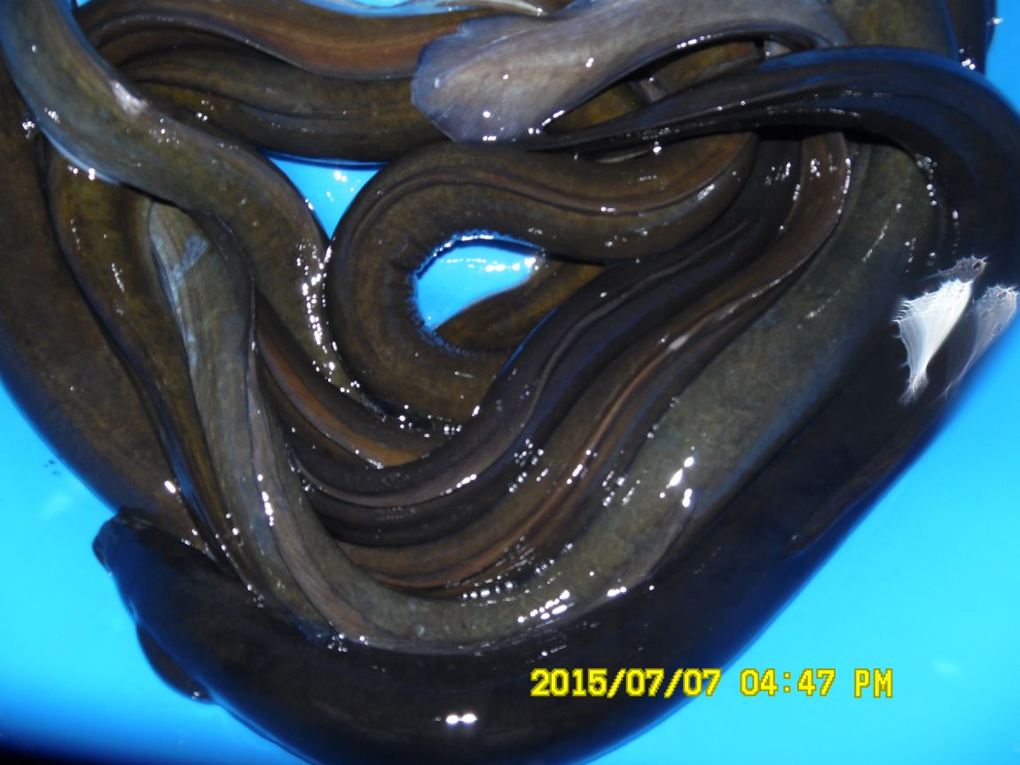 7��6��~7�� 017.JPG