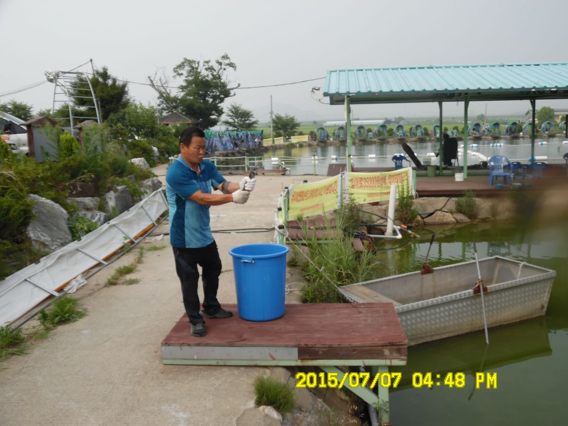 7��6��~7�� 018.JPG