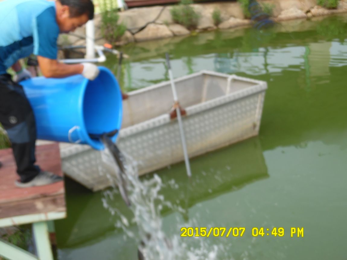 7��6��~7�� 019.JPG