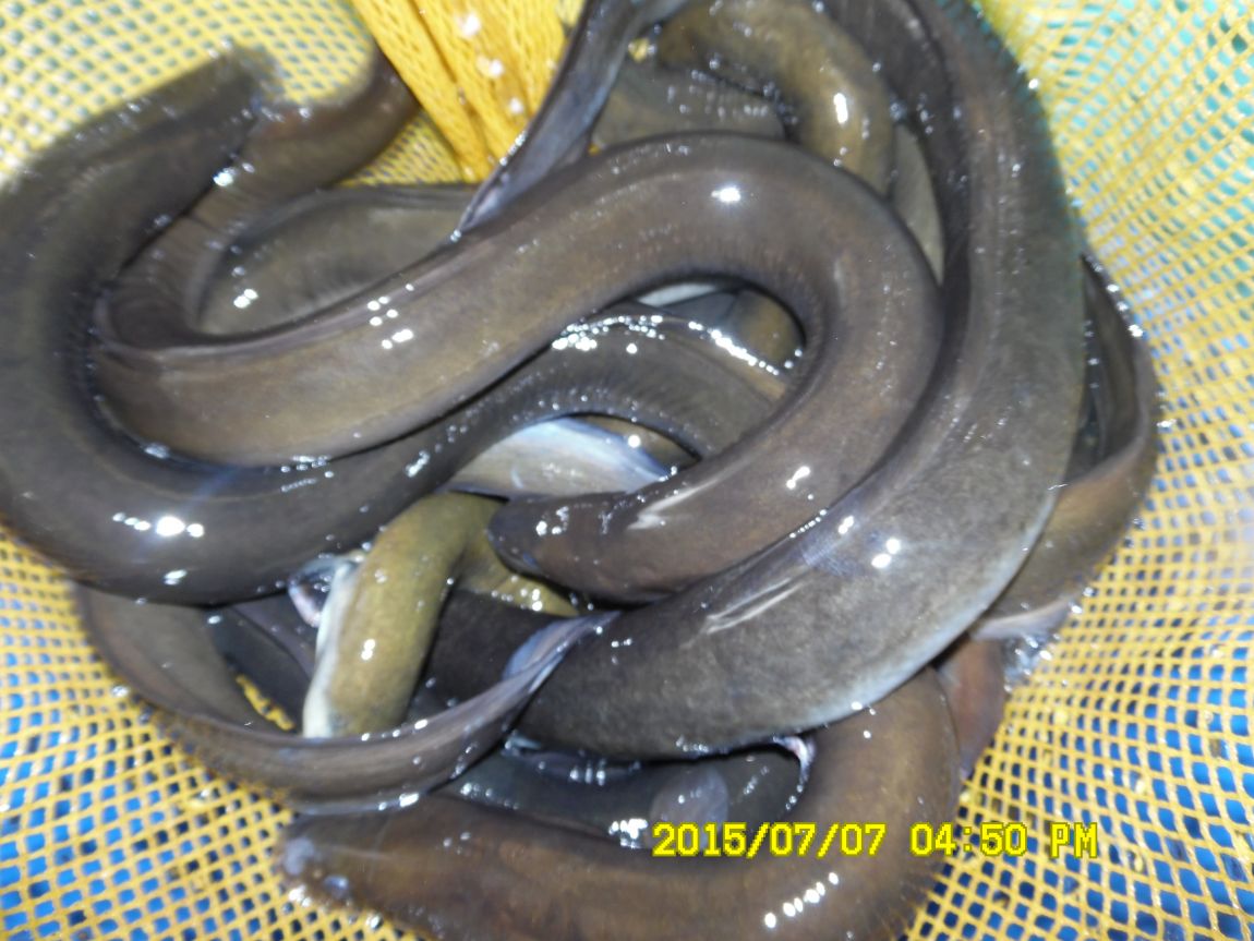 7��6��~7�� 020.JPG