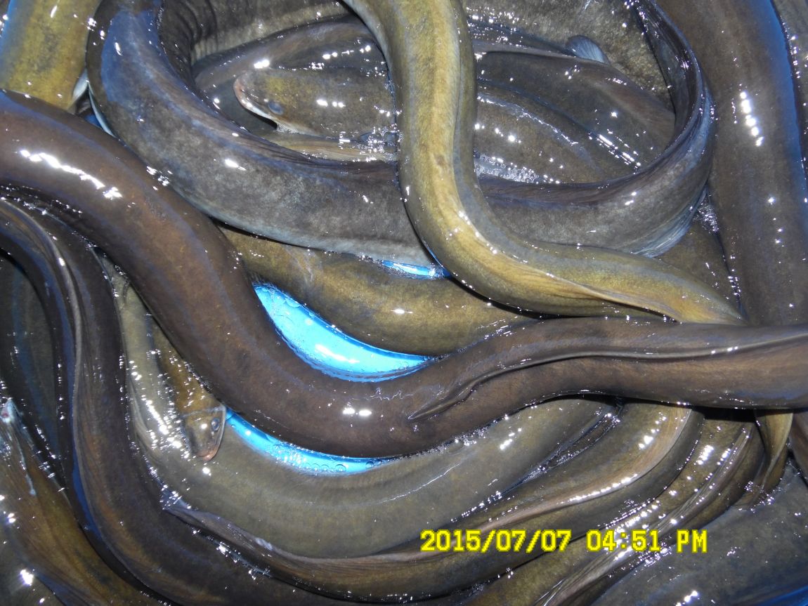 7��6��~7�� 021.JPG