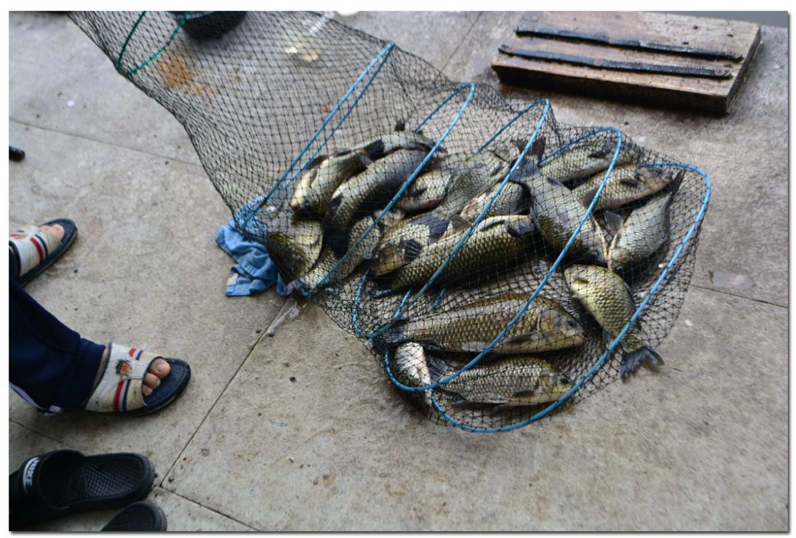 Untitled-1 copy 3.jpg