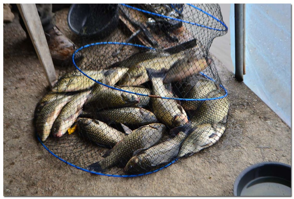 Untitled-1 copy 4.jpg