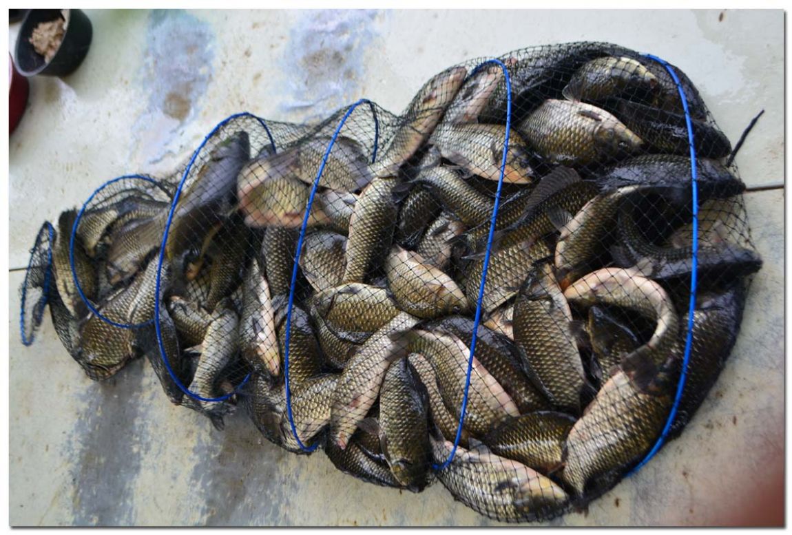 Untitled-1 copy 5.jpg