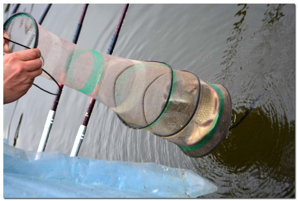 Untitled-1 copy 7.jpg