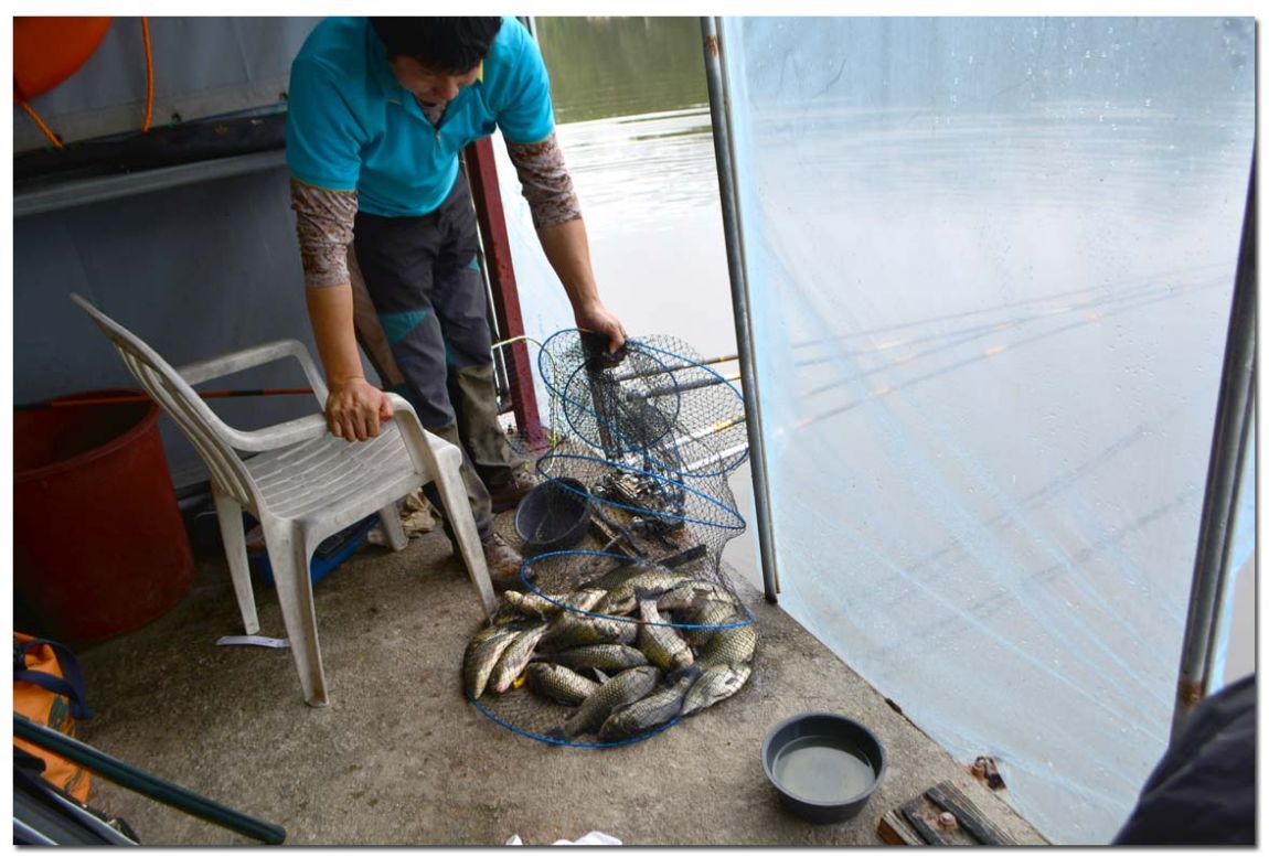 Untitled-1 copy 6.jpg