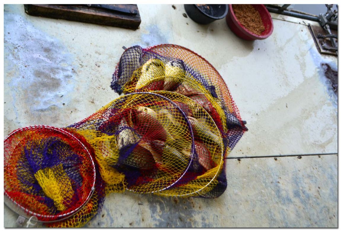 Untitled-1 copy 8.jpg