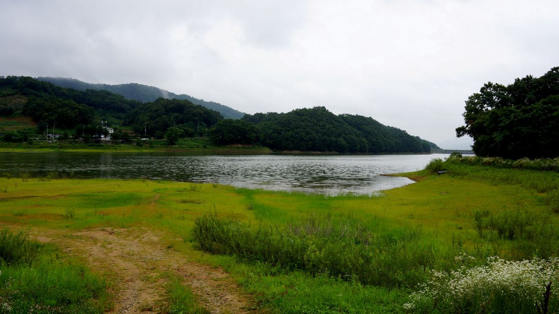 DSC00133-d.jpg