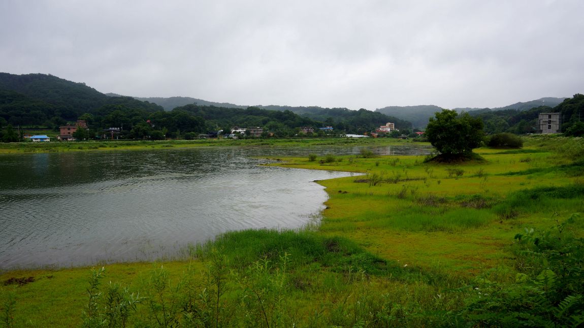 DSC00135-d.jpg