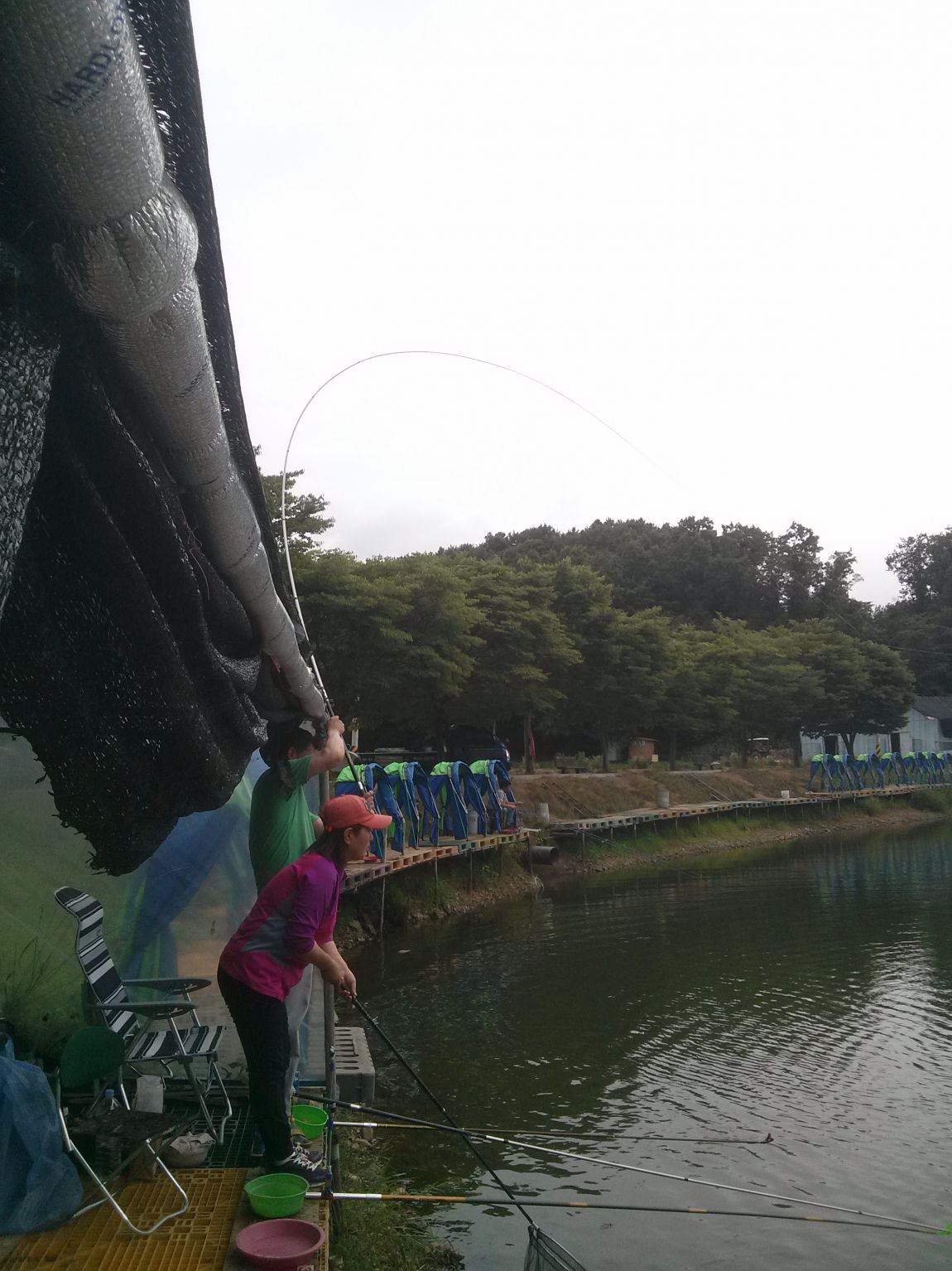 CAM06178.jpg