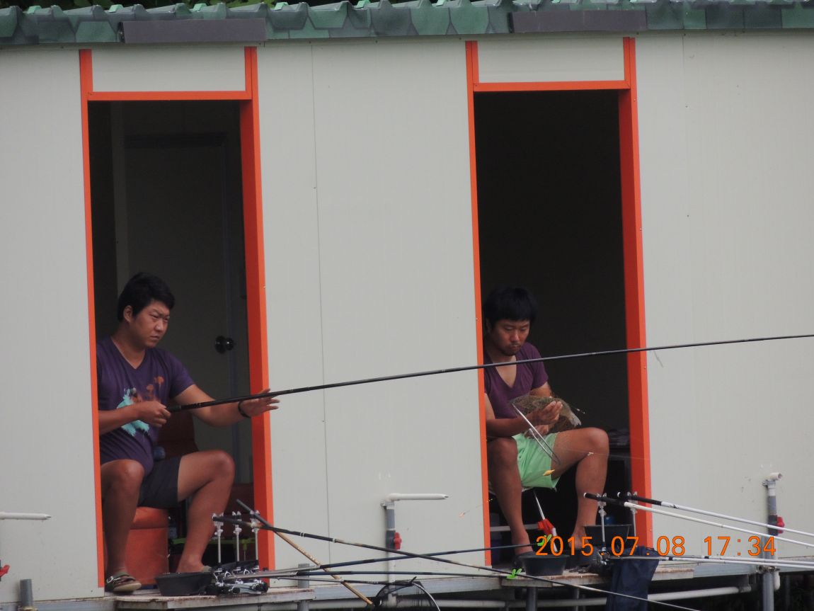 DSCN8478.JPG