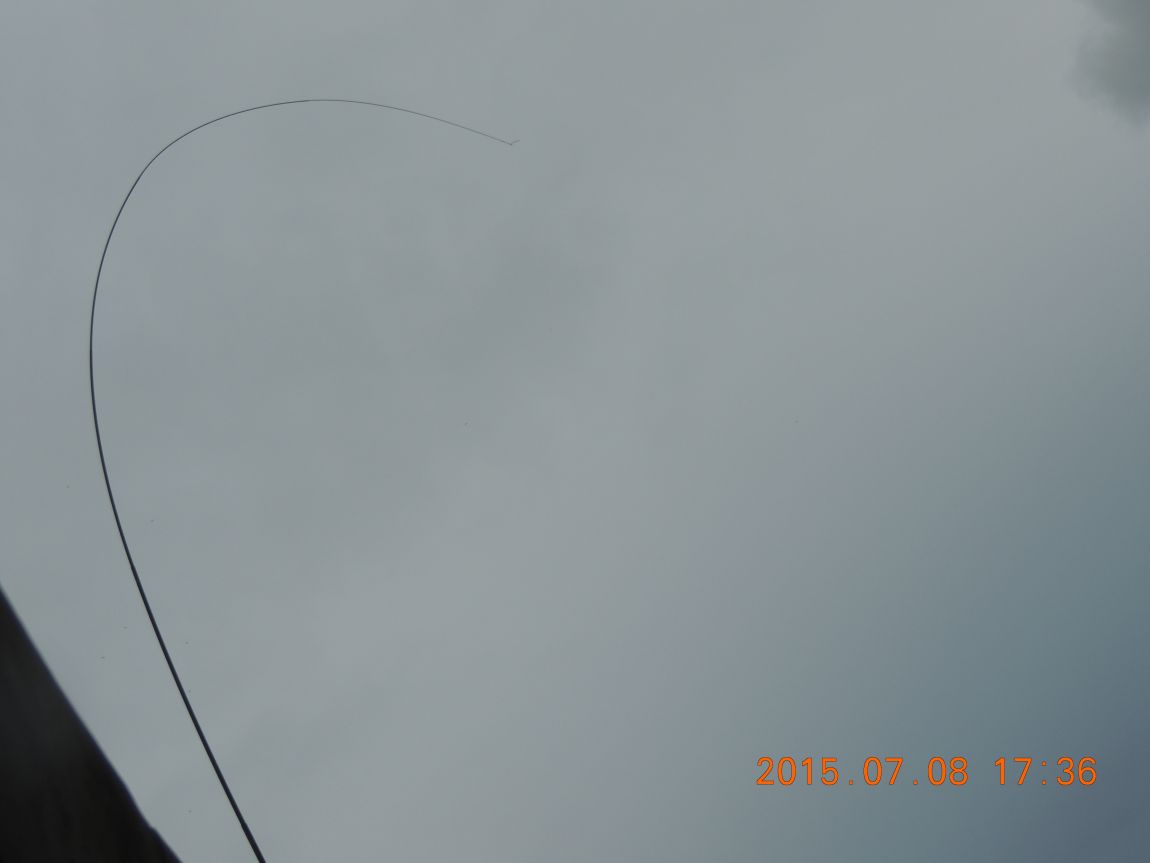 DSCN8479.JPG