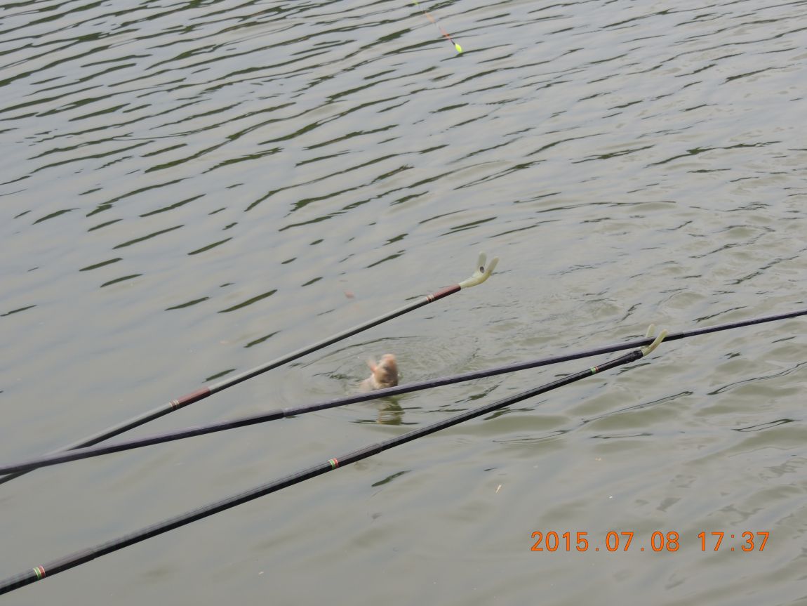 DSCN8480.JPG