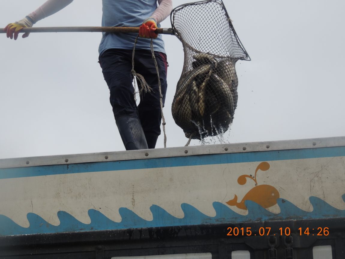 DSCN8508.JPG