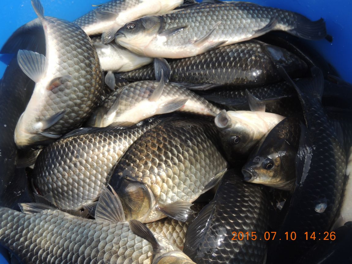 DSCN8509.JPG