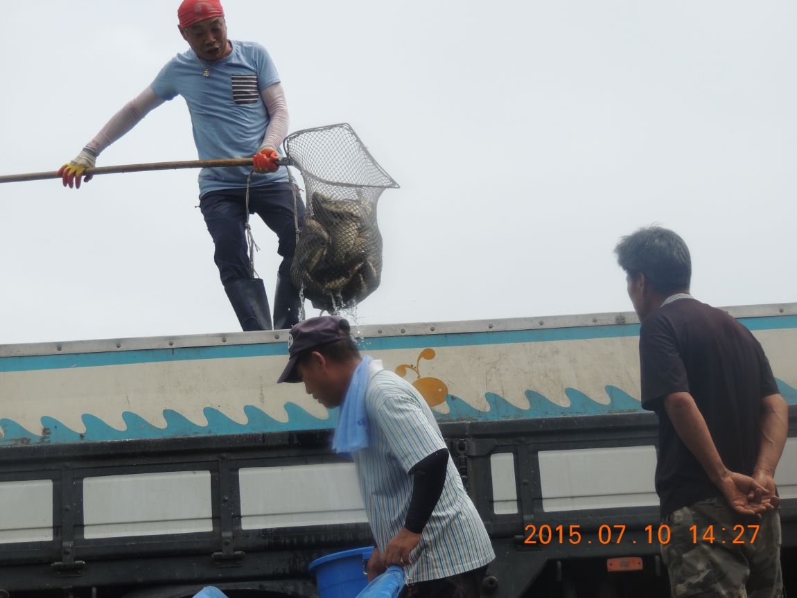DSCN8511.JPG
