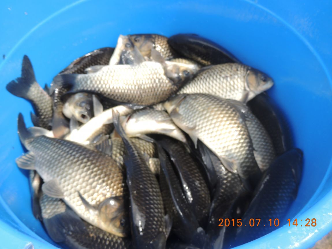 DSCN8514.JPG
