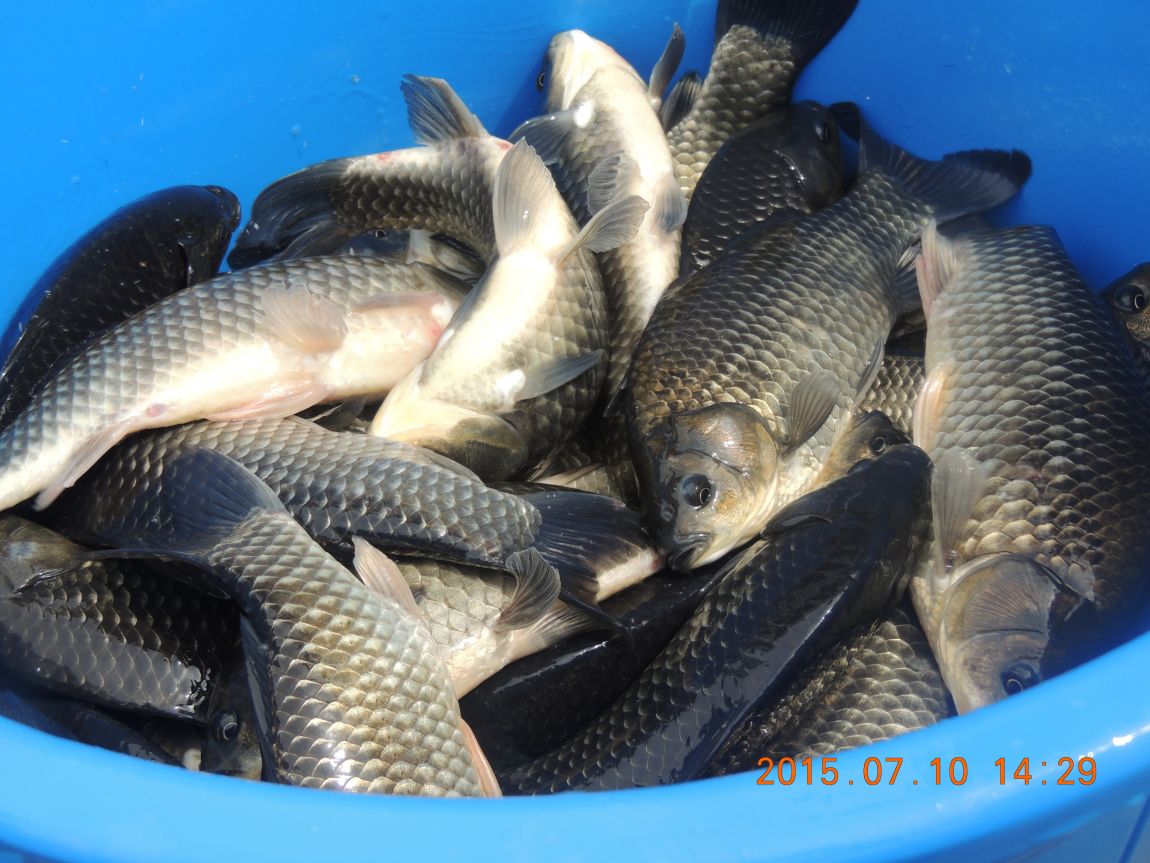 DSCN8520.JPG