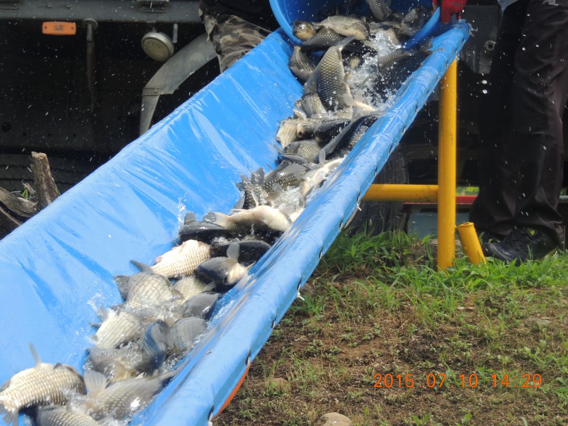 DSCN8522.JPG