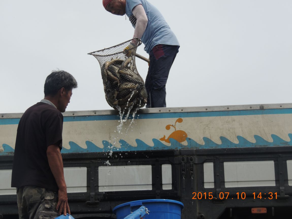 DSCN8525.JPG