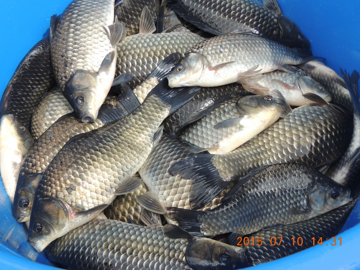 DSCN8527.JPG