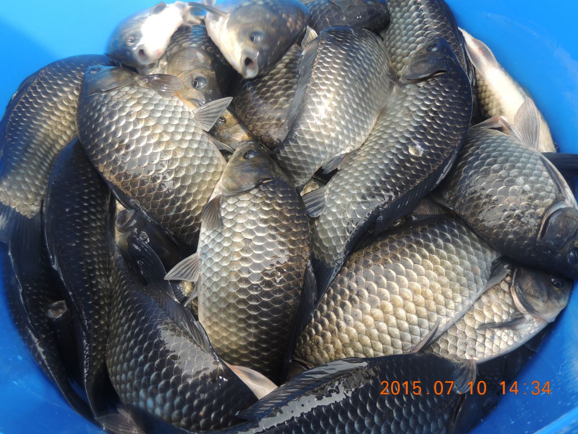 DSCN8538.JPG