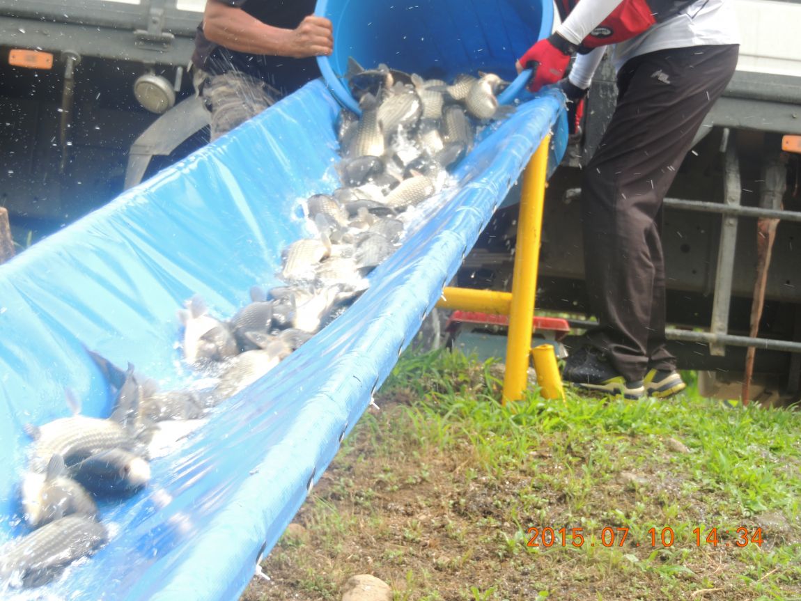DSCN8540.JPG
