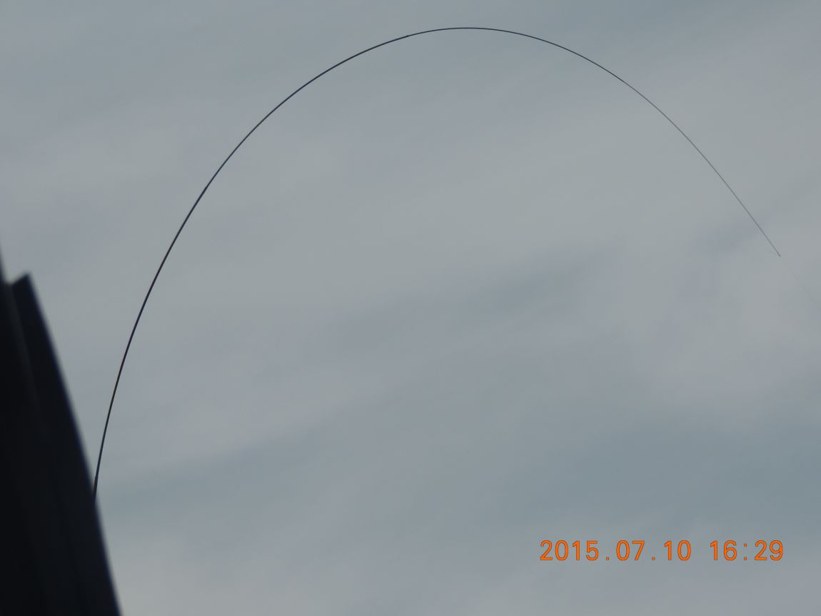 DSCN8543.JPG