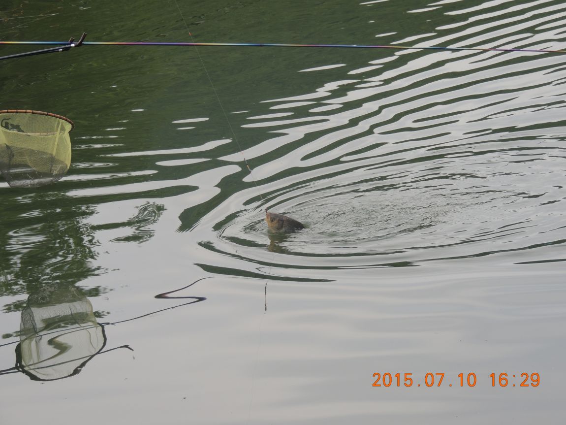 DSCN8544.JPG