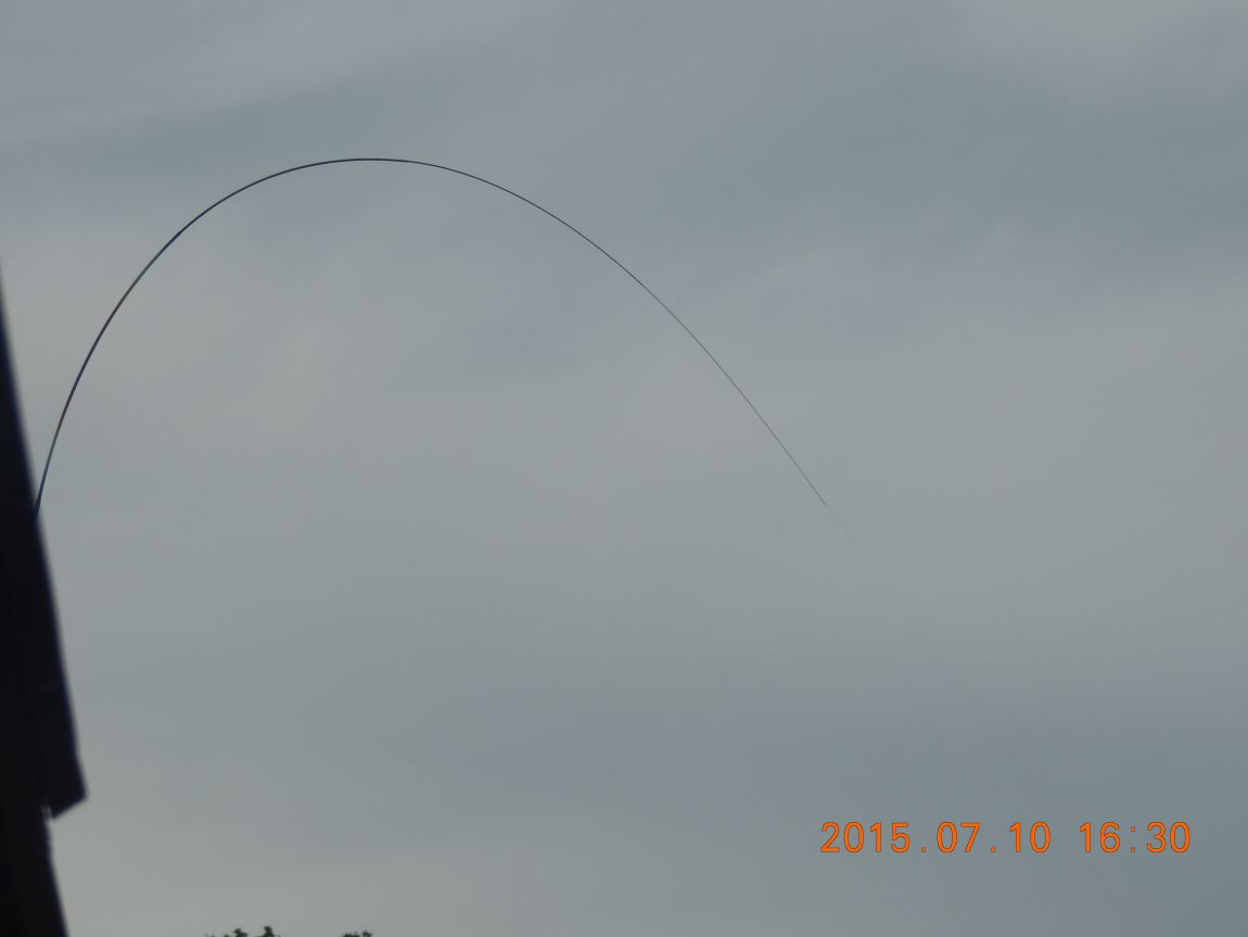 DSCN8545.JPG