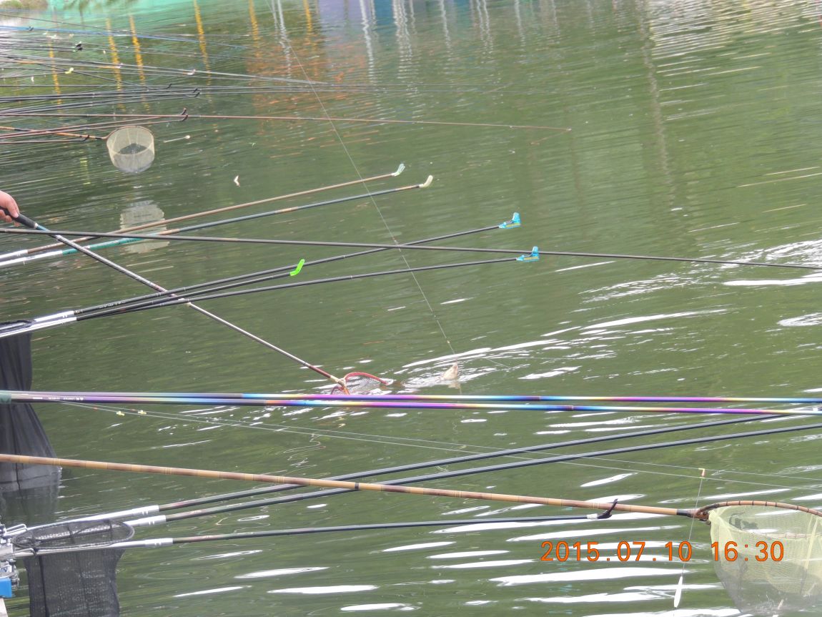 DSCN8549.JPG