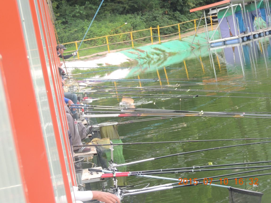 DSCN8551.JPG