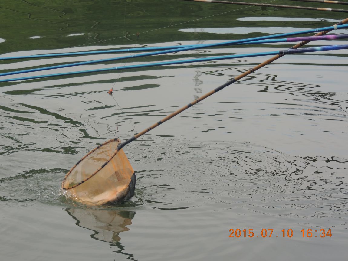 DSCN8552.JPG