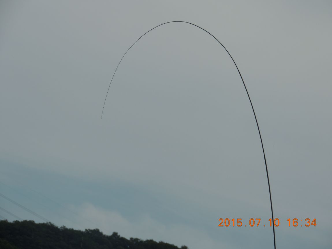 DSCN8553.JPG