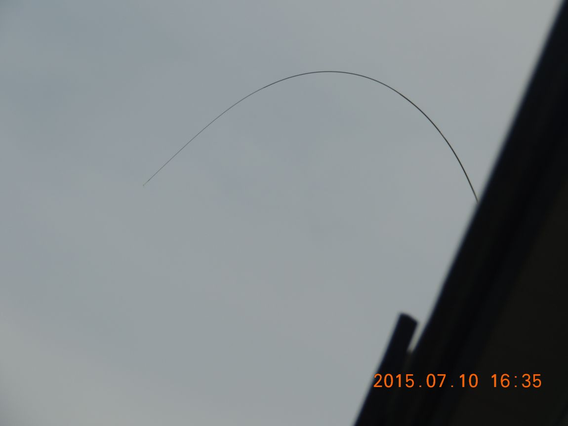 DSCN8556.JPG