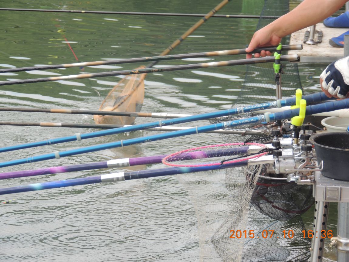 DSCN8557.JPG