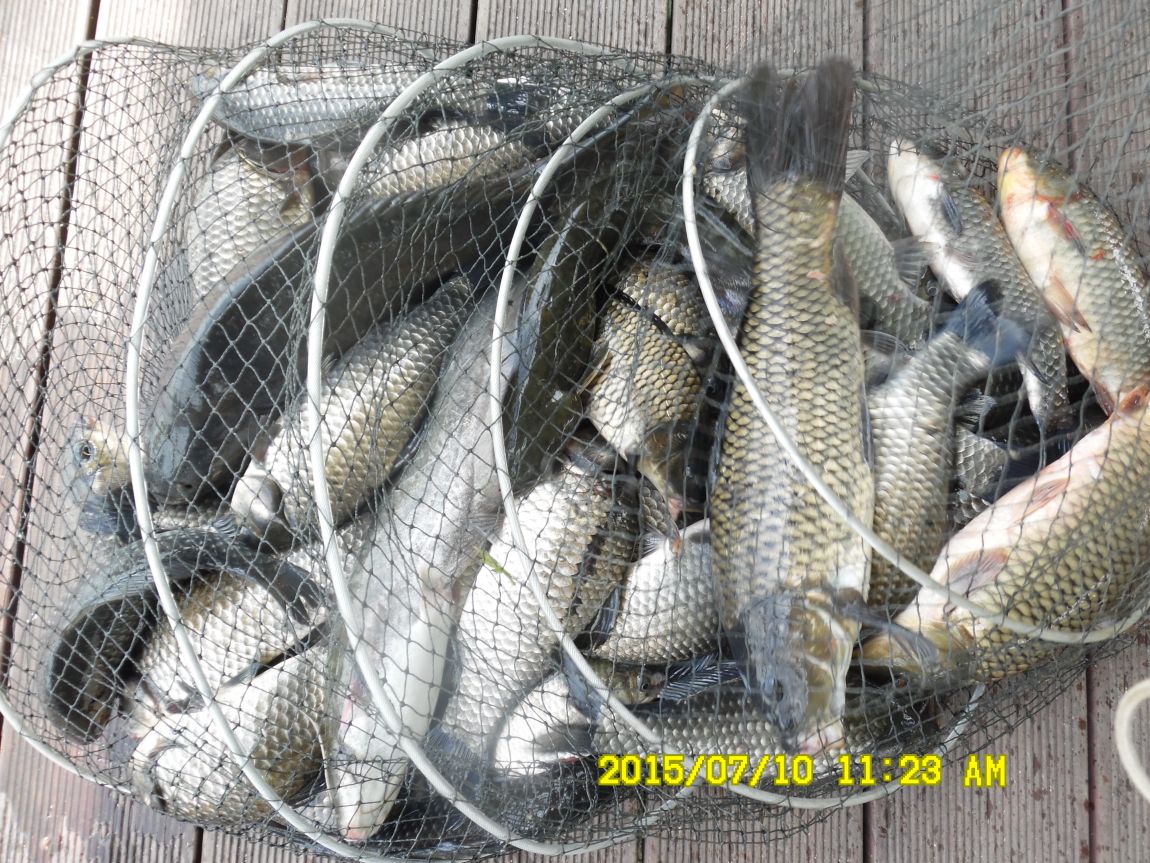 7��9��~10�� 004.JPG