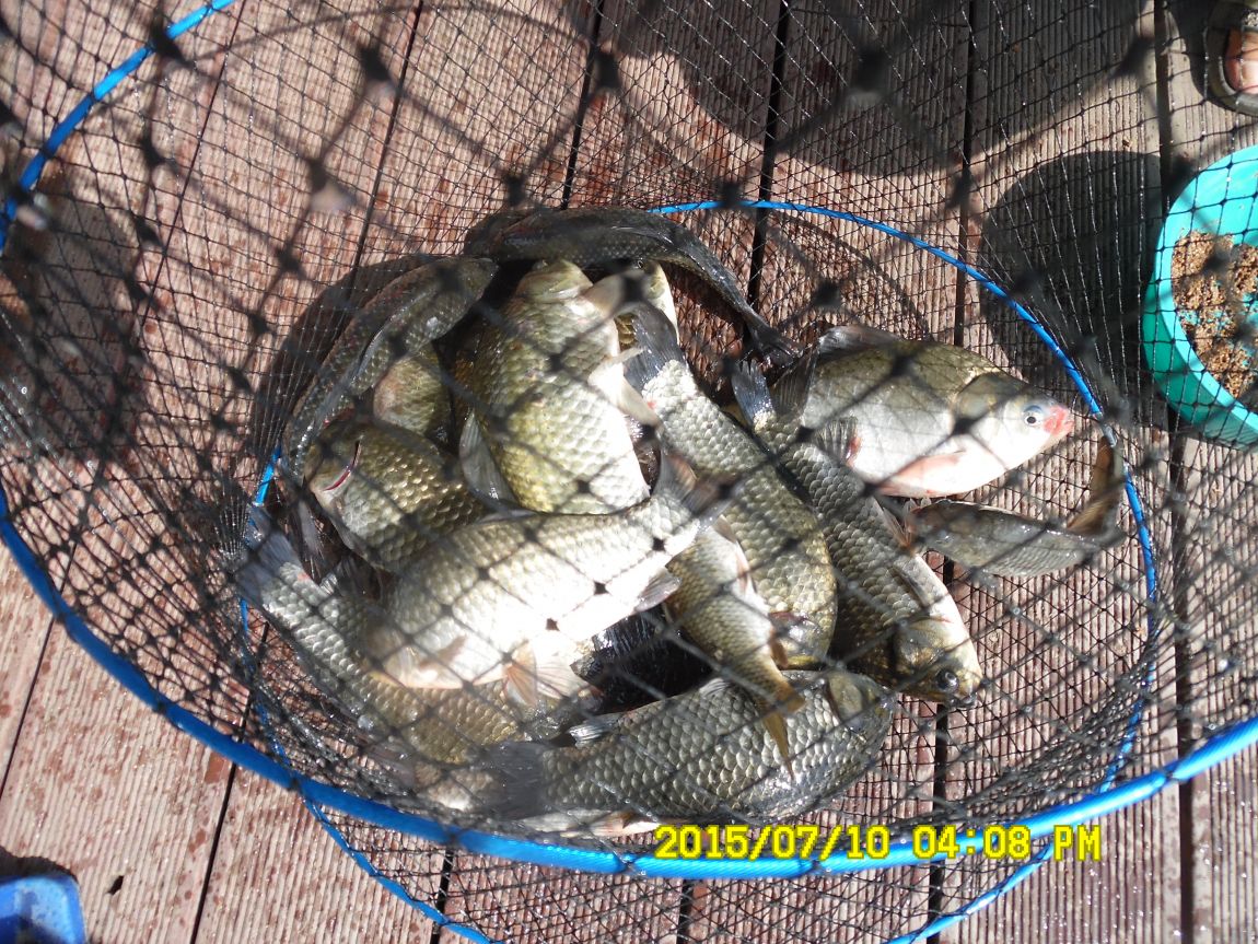 7��9��~10�� 006.JPG