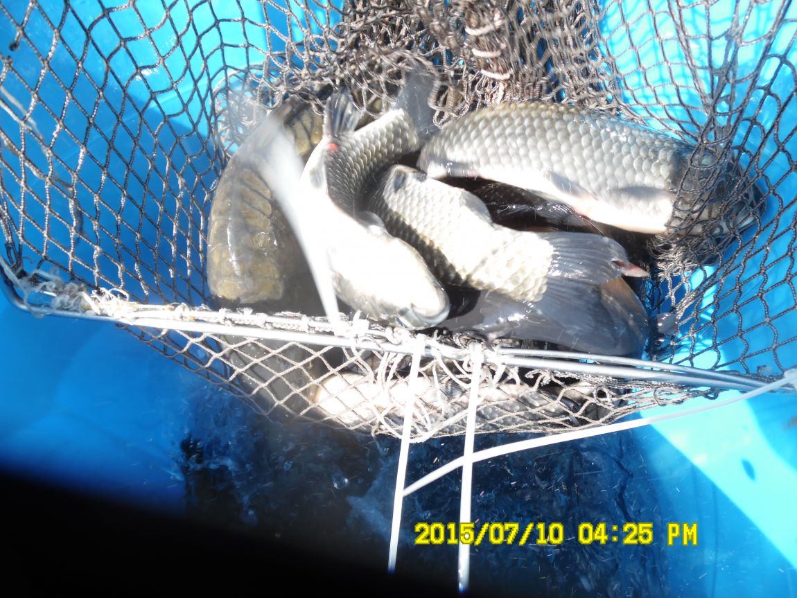 7��9��~10�� 008.JPG