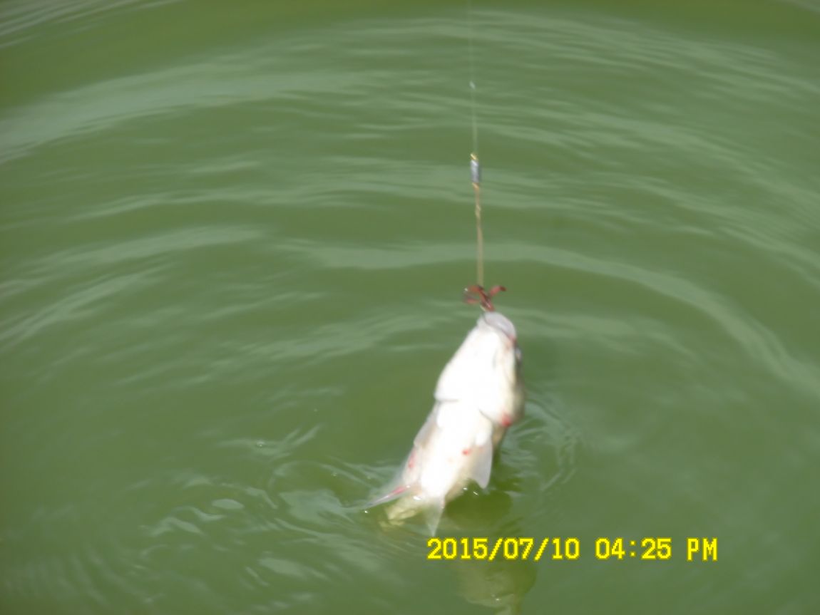 7��9��~10�� 009.JPG