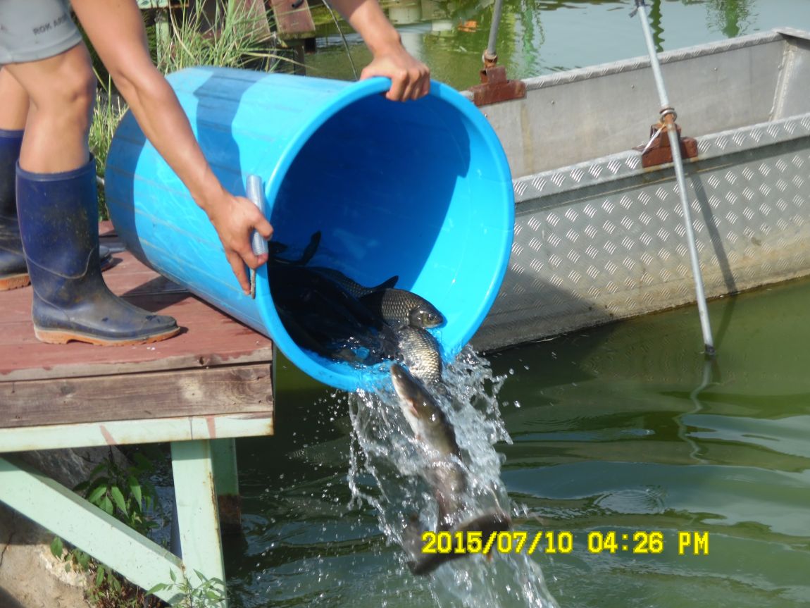 7��9��~10�� 010.JPG